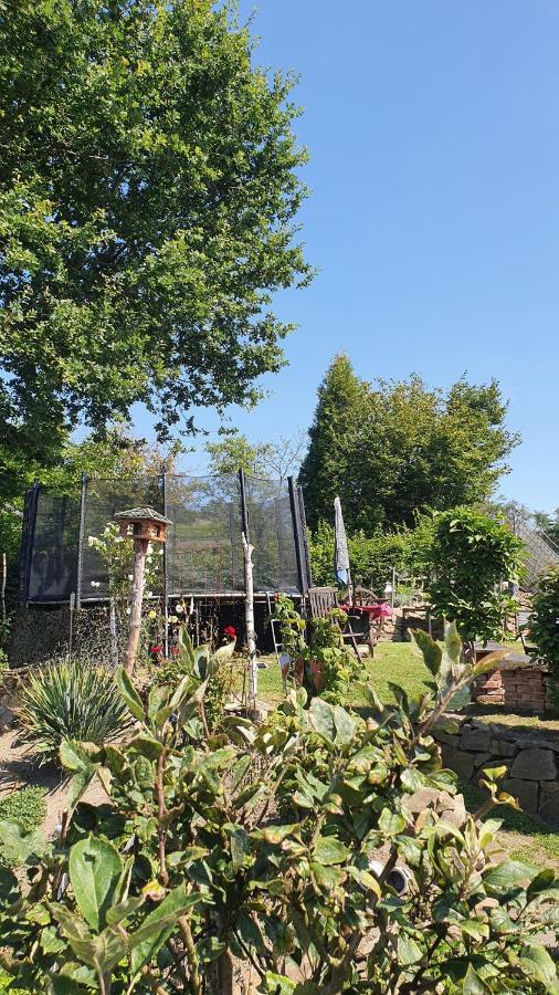 Frankes Lodge Apartment Mit Garten Und Pool, 6 Einzelbetten, Parkplatz エッセン エクステリア 写真